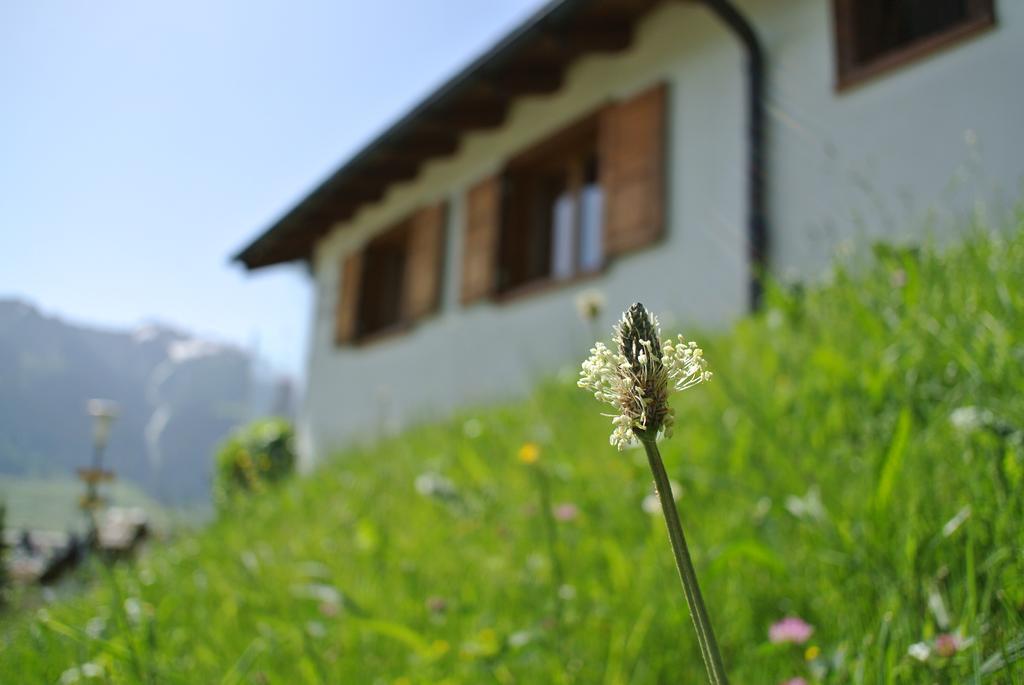 Hotel Ustria / Pensiun Trutg Vella Exterior foto